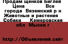 Продам щенков Биглей › Цена ­ 15 000 - Все города, Вяземский р-н Животные и растения » Собаки   . Кемеровская обл.,Мыски г.